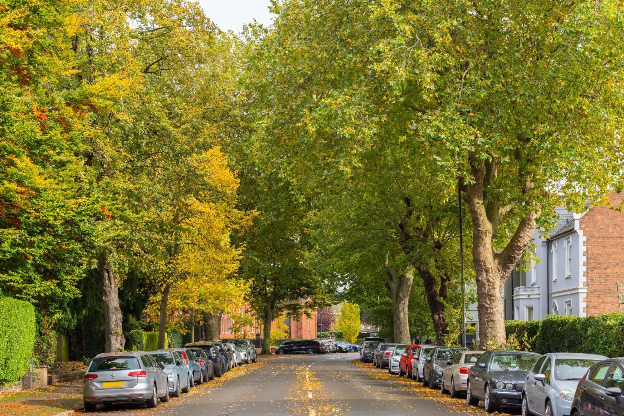 1-Bedroom Apartment In Leamington Spa With Free Parking Exteriör bild